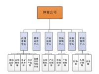 繼樂視體育后，PPTV也分拆體育公司