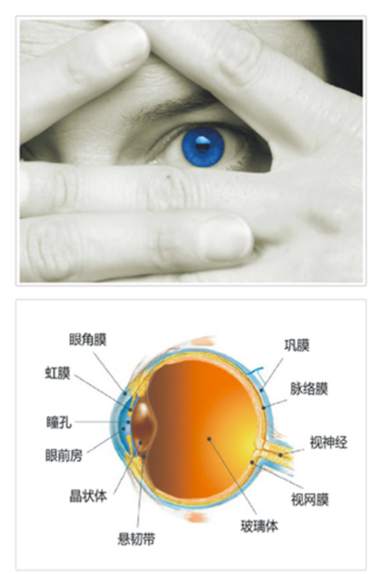 流言揭秘:LED燈的藍光真會傷害眼睛嗎?