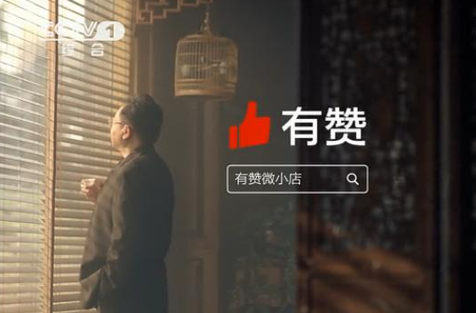 有錢任性還是本末倒置?互聯網企業扎堆電視廣告