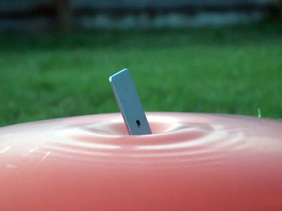 視頻：iPhone 6s Plus與大波波對戰(zhàn)，誰會贏？