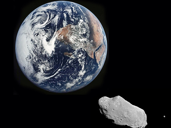 我們會被小行星撞擊毀滅嗎？還是擔心你身邊的狗狗吧