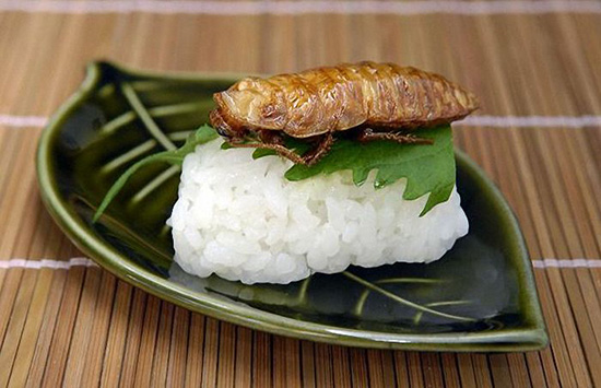 腦洞大開！未來我們可能吃這些當食物