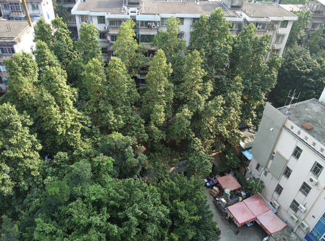 雙攝比安全更亮眼 360奇酷手機(jī)極客版測(cè)評(píng)