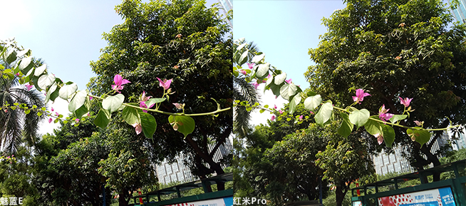 紅米Pro/魅藍E該買誰:千元旗艦四大項全面對比