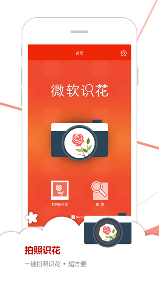 如何認出花名?微軟識花一鍵搞定