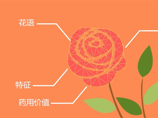 如何認出花名?微軟識花一鍵搞定