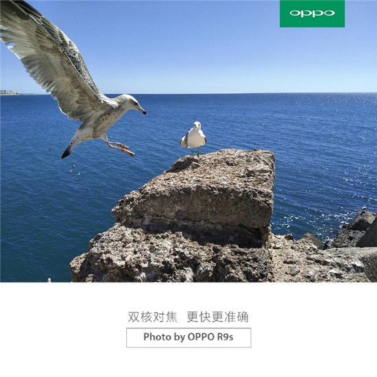 香菇,藍瘦?這些國產(chǎn)王“炸”比Boom7耀眼