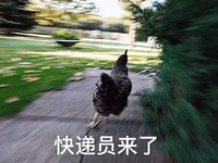 Talk客：雙11過去一周多 剁完手的你是否和我一樣？