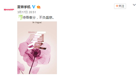 夏普手機即將復活?獨占IGZO屏幕是最大特點