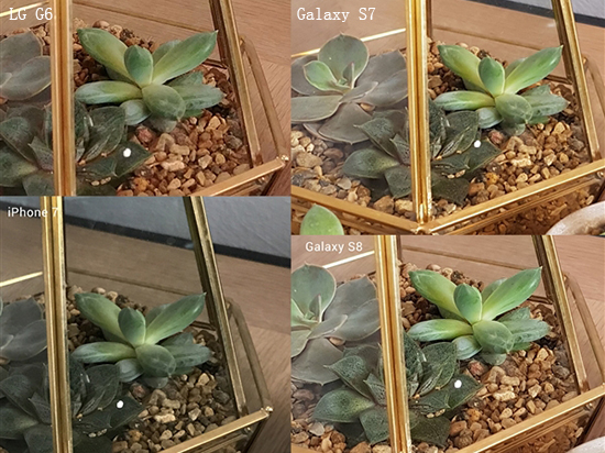 熱騰騰的機(jī)皇拍照對(duì)決!三星S8和iPhone 7你選誰