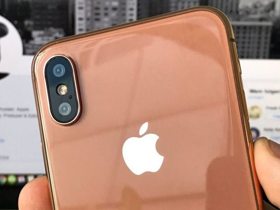 Blush Gold腮紅金？iPhone8金銅配色名稱曝光