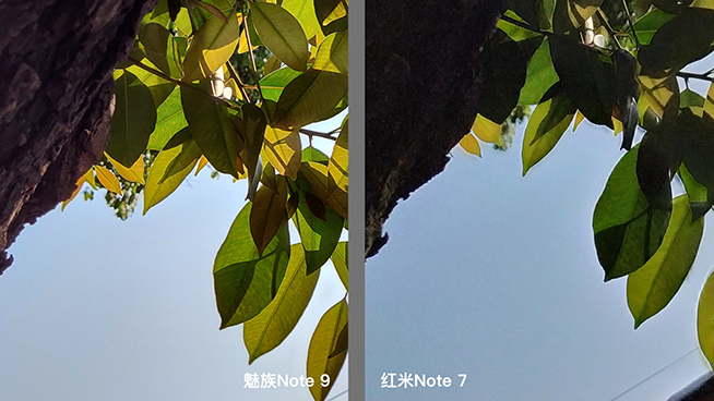 熱門千元機對比：紅米Note 7外觀取勝，魅族Note 9拍照更好
