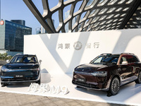 問界M9 2025款發(fā)布上市，車載小藝體驗(yàn)升級支持深度思考